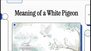 Meaning of A White Pigeon | Ancestral Wisdom