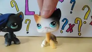 UNBOXING LPS  | РЕДКАЯ СТОЯЧКА - С МАГНИТОМ !