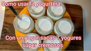 How to use the yogurt maker How to make yogurt with natural or Greek yogurt
