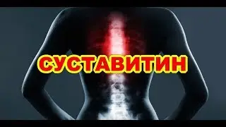 Суставитин Цена В Шымкенте