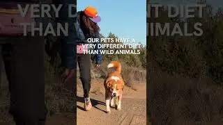 Why do we pack out dog poop?