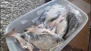 Что брать?на зимнюю рыбалку с ночевкой. Выезд на восточное.