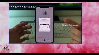 Tiktok Free Followers Update 2023 | How To Get Free Tiktok Followers On iOS/Android.