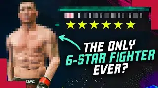 The Perfect MMA Fighter