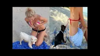 OMG Super Cute ♥ Funniest Cats and Dogs 🐱🐶Part 30