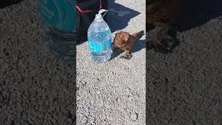 # Thirsty