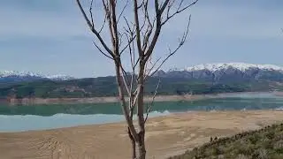 ЧАРВАК