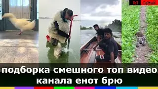 веселое видео подборка