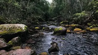Подсказки от ВС. Предупреждение ❗️❗️❗️