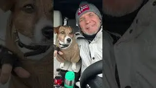 NENSI , live, Show, New, Tiser, NENSILAND премьера 2023 