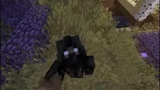 Selfie in Minecraft
