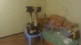Оскар за конфетой