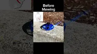 Mewing Transformation