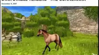 🌟🐎A Star Stable Teaser: The Connemara🐎