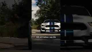 Shelby rollers in Gatlinburg