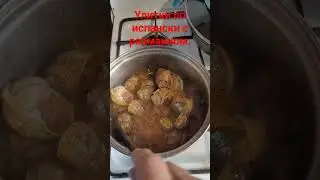 Улитки по испански с размарином.