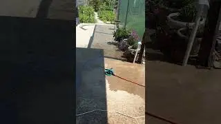 Вспоминая лето 
