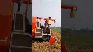 Haf Feeder Harvester
