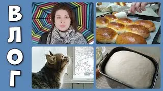 ✔️Выпросила себе  ✔️удачное дрожжевое тесто ✔️пеку  каждый день пирожки.