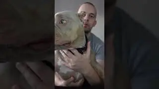 Обзор на бойцового Малыша. 🙀🔥 