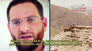 Суккот и Симхат Тора
