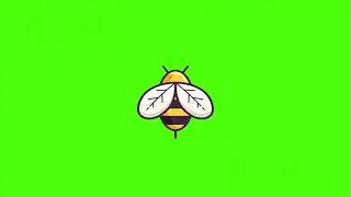 Honey Bee 🐝 - 2D animated, Green Screen Video 