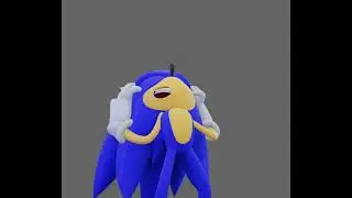 sonic doesn't understand