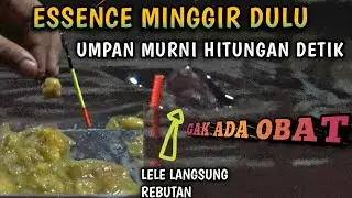 THE ULTIMATE CATFISH BAIT FOR COMPETITIVE FISHING: NO ESSENCE NEEDED, INSTANT STRIKES GUARANTEED