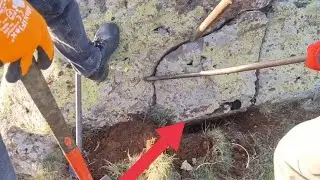 kaplumbağa Hazinesi Bulma Anı Zirve alan tarma