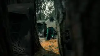 Blackcamp with Black and Orange color vibe grading at pine forest