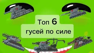 Топ 6 гусей по силе
