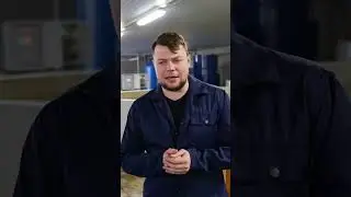 Налим - удивительная рыба