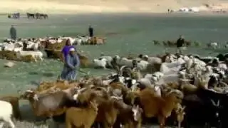 Mongolian Wrestling   Last Man Standing 2 5