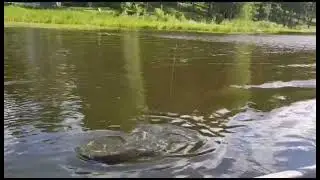 Удача улыбнулась!