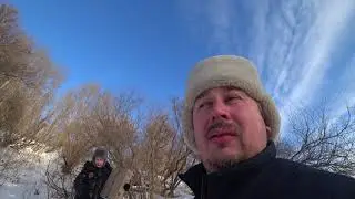 Лебедь передвинулся с места в неизвестном направлении (Куйбышев)