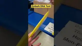 🐶Embark Dog DNA Test! 🐕