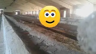 карбит+ вода= (опасно) взривається єб*ть- єб*ать, игра детей из: СССР, 90-х! 4K
