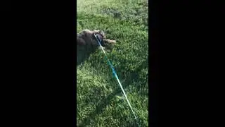 My Stick | Lennox edit