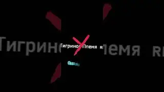 Коты-воители || Грозовое племя🐱