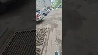 5 июня 2024 г.