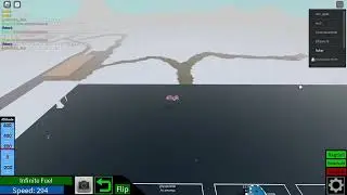 fly