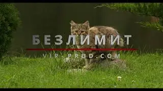 Такого клёва на БЕЗЛИМИТЕ они не ожидали!!! Ловля форели на платнике. Безлимитный пруд.