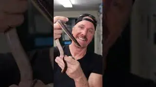 New World Pythons!
