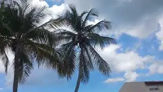Walking alone in Aruba after shopping