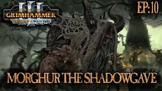 BEASTMEN TACTICS - Morghur The Shadowgave - Total War: Warhammer 3 (SFO) - Beastmen - EP:10