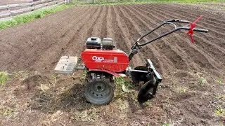 Мотоблок Ока - нарезка гребней и посадка картофеля.