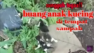 buang anak kucing di sampahan (kejam). 