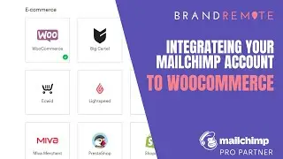 How to integrate your WooCommerce store with MailChimp?