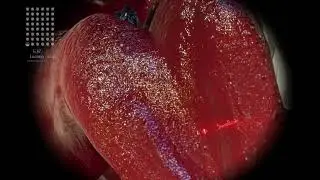 Not even a snack (vore animation WITH SOUND)