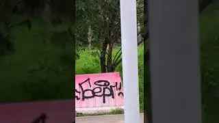 Зайцы в городе. В парке Куркино два зайца.